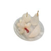 Onyx Fruit Set (Size : 10 cm) - Image 5