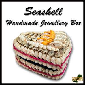 Sea Shell Jewelry Box
