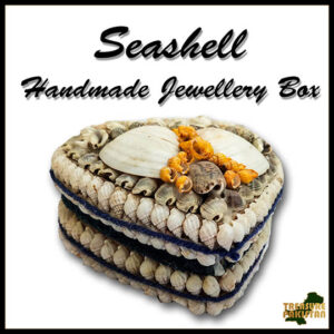 Sea Shell Jewelry Box