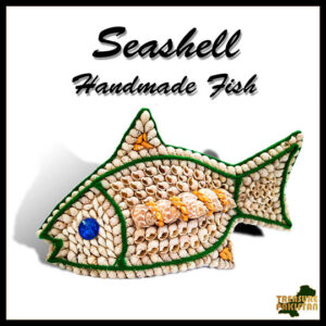 Sea Shell Fish