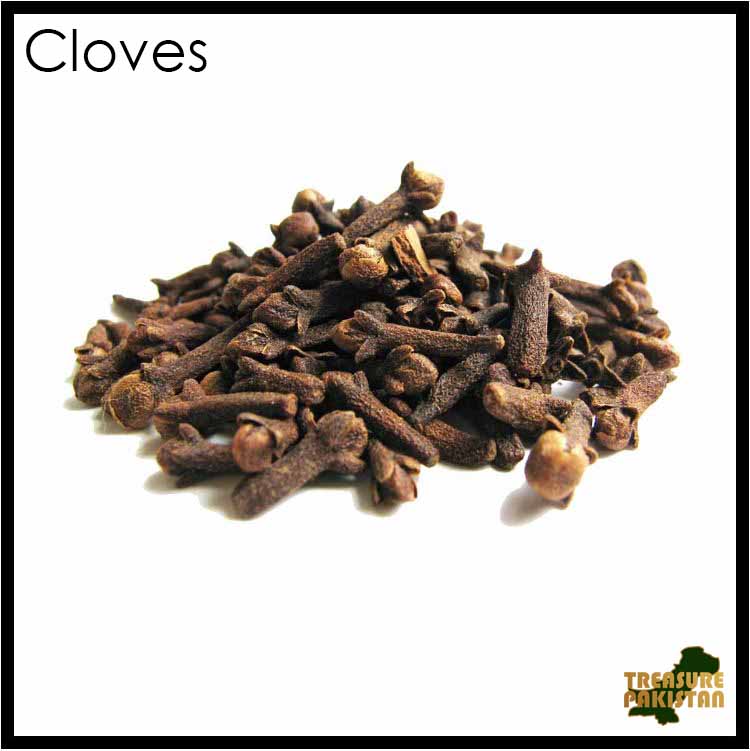 Cloves/ 100 grams Treasure Pakistan