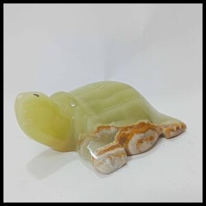 Onyx Turtle  (Size : 10 cm)