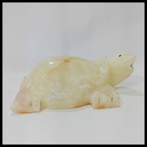 Onyx Turtle (Size : 10 cm)