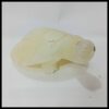 Onyx Turtle  (Size : 15 cm) - Image 4