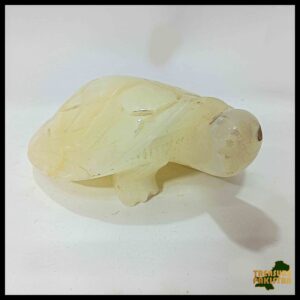 Onyx Turtle  (Size : 15 cm)