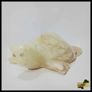 Onyx Turtle (Size : 10 cm)