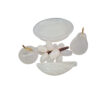 Onyx Fruit Set (Size : 10 cm) - Image 4