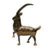 Brass Markhor (Size:20 cm) - Image 4