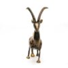 Brass Markhor (Size:20 cm) - Image 5