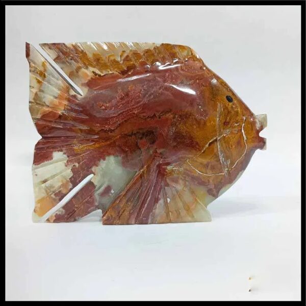 Onyx Fish Size:15cm - Image 3