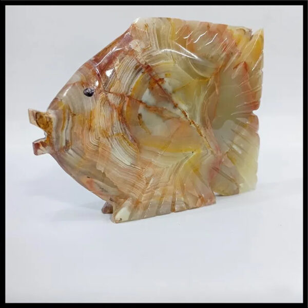 Onyx Fish Size:15cm - Image 4