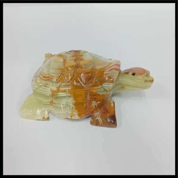 Onyx Turtle  (Size : 15 cm) - Image 3