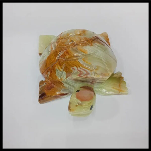 Onyx Turtle  (Size : 15 cm) - Image 4